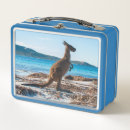 Search for luckys lunch boxes Cute