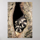 Search for cavities posters Cavity