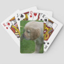 Search for bob and pam langrish Stretching