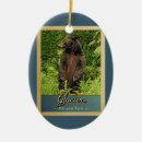 Search for glacier national park christmas tree decorations Montana