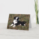 Search for border blank cards Collie