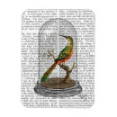 Search for belles magnets Antique