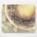Search for cells mouse mats Technique