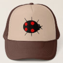 Search for ladybirds hats Bugs