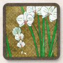 Search for white flower coasters Abstract