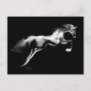 Search for jumper postcards Equine