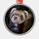 Search for pet ferret christmas tree decorations Ferrets