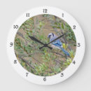 Search for backyard bird art Nature