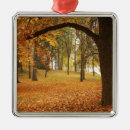 Search for large format christmas tree decorations Washington