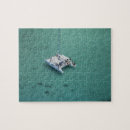 Search for fiji puzzles Aerial