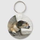 Search for laziness key rings Dog