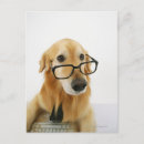 Search for computer keyboard postcards Animal