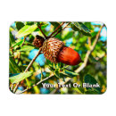 Search for acorns magnets Oak