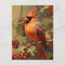Search for red cardinal bird cards Forest