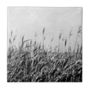 Search for dune tiles Landscapes
