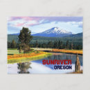 Search for bachelor horizontal postcards Sun