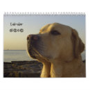 Search for labrador calendars Canine