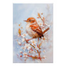 Search for wren posters Nature