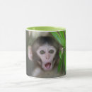 Search for macaque mugs Animals in the wild
