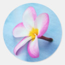 Search for oahu hawaii stickers Flowers