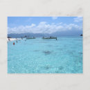 Search for scuba diving postcards Coral
