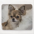 Search for relaxed mouse mats Dog