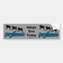 Search for greyhound bumper stickers Animal