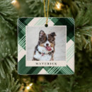 Search for painted christmas tree decorations Pet