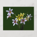 Search for blue wildflower postcards Purple