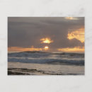 Search for san diego postcards Nature