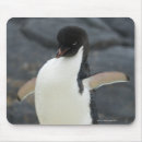 Search for antarctic mouse mats Outdoors