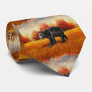 Search for black bear ties Wild animals