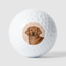 Search for golden retriever golf balls Cute