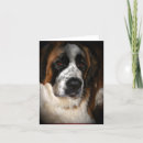 Search for saint bernard cards Pets