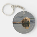 Search for coated retriever key rings Bob and pam langrish