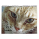 Search for humor calendars Kittens