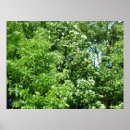 Search for breeze posters Leaves