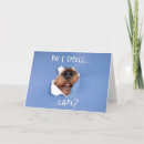 Search for peek a cards Funny