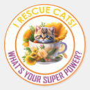 Search for rescue stickers Kittens