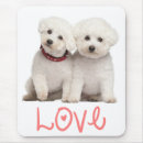 Search for frise electronics Bichon