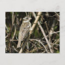 Search for gros postcards Nature