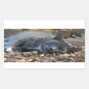 Search for whisker stickers Kitty