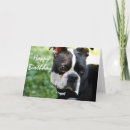 Search for boston terrier birthday cards Canine
