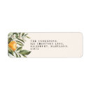 Search for rectangle shapes mugs Modern