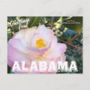 Search for camellia flower postcards State