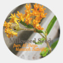 Search for monarch caterpillar stickers Butterfly