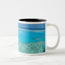 Search for queensland mugs Australia