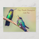 Search for colibri postcards Tropical