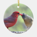 Search for male female cardinal christmas tree decorations Nature