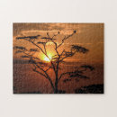 Search for tree silhouette Sunset